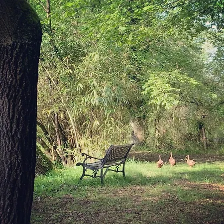 Hors Cadre/villa Avec Piscine Vakantiehuis Nort-sur-Erdre (Loire-Atlantique)