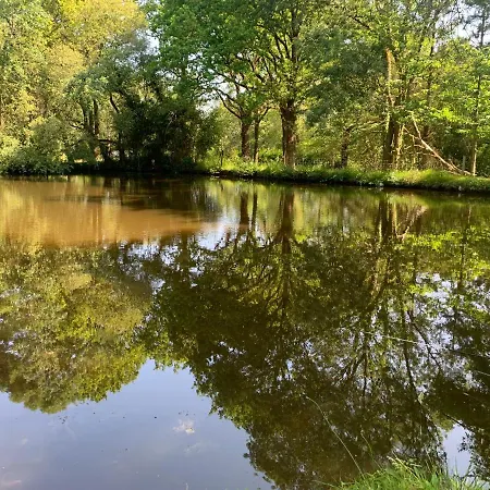 בית נופש Hors Cadre/villa Avec Piscine Nort-sur-Erdre (Loire-Atlantique)