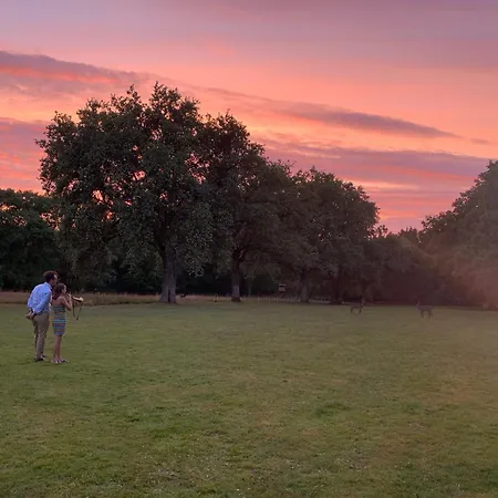 Hors Cadre/villa Avec Piscine