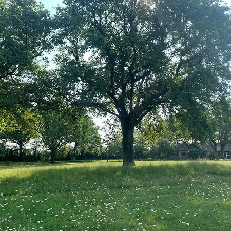 Hors Cadre/villa Avec Piscine * Nort-sur-Erdre (Loire-Atlantique)