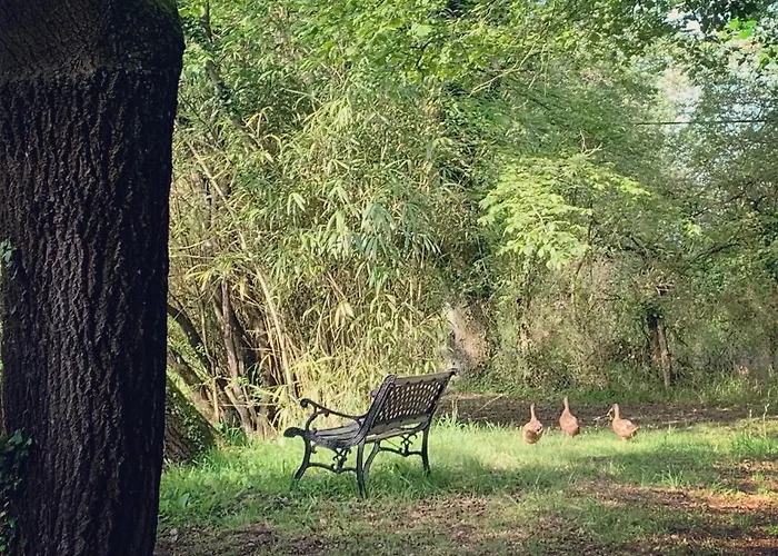 Hors Cadre/villa Avec Piscine بيت للعطل Nort-sur-Erdre (Loire-Atlantique)