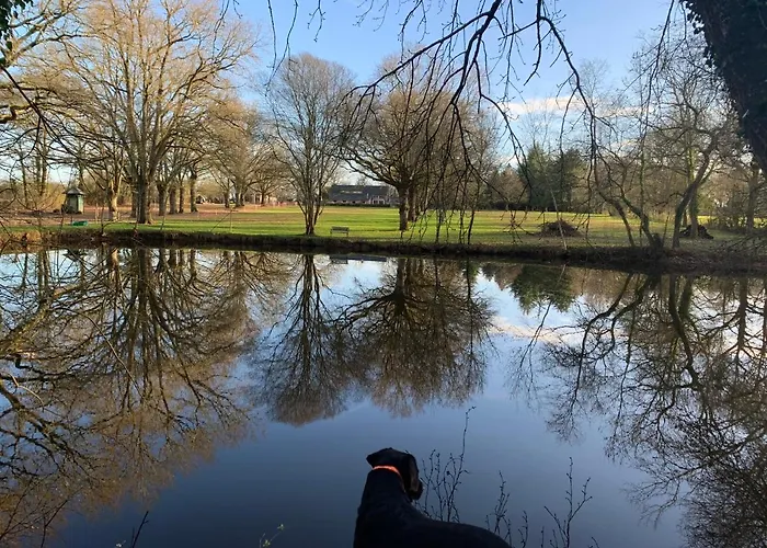 Hors Cadre/villa Avec Piscine *