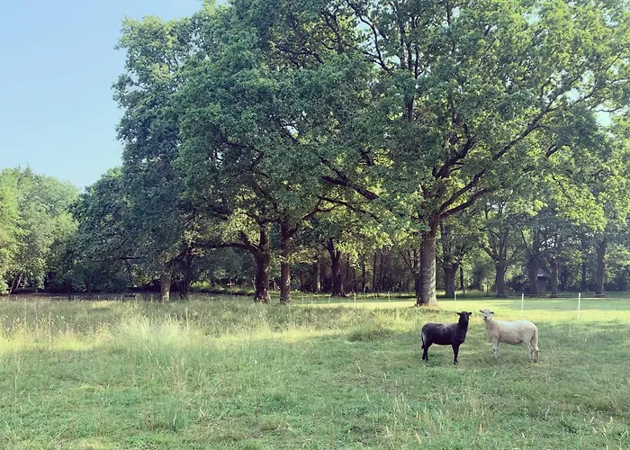 Hors Cadre/villa Avec Piscine